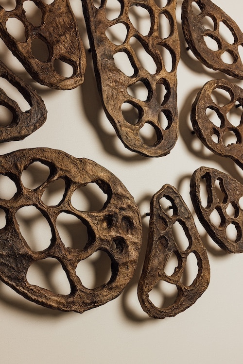 pymont-sculpture-organic-forms